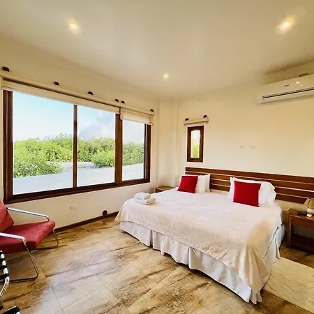 Lava Heron Galapagos Apartment Puerto Ayora  Exterior photo